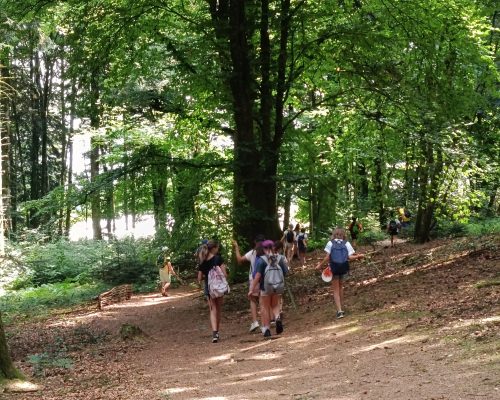 WhatsApp Image 2026-03-26 at 11.51.51 (1)