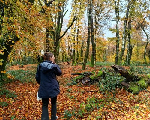 WhatsApp Image 2026-03-26 at 11.51.53 (1)