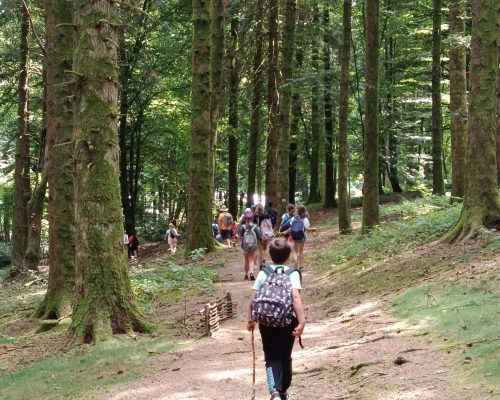 WhatsApp Image 2026-03-26 at 11.51.53